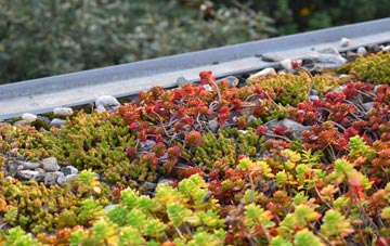 the cost of Broad Ford green roof installation